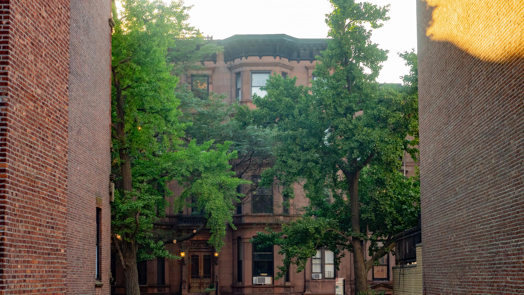 A row of brownstone houses on a residential street in Park Slope, Brooklyn.